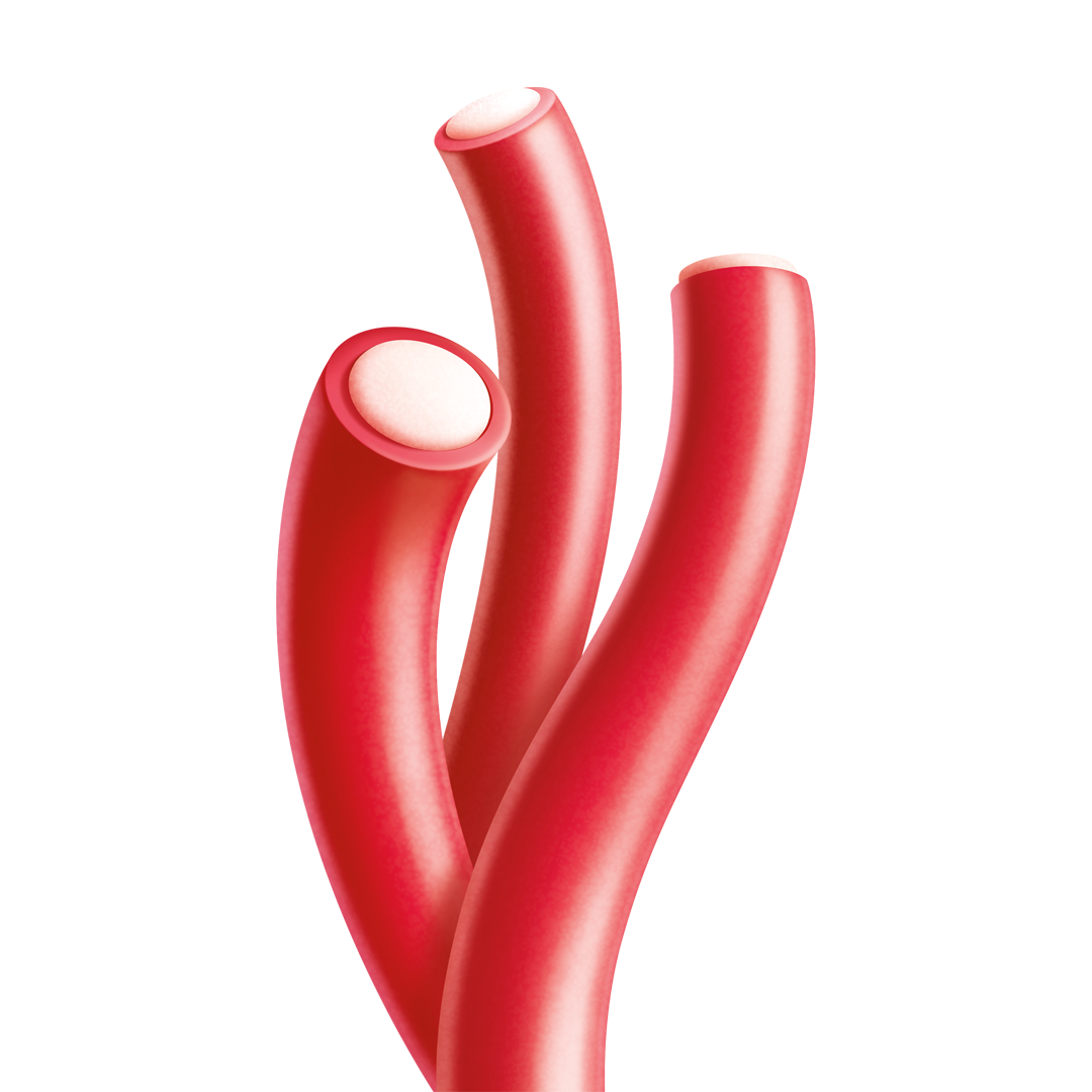 cherry berry ropes