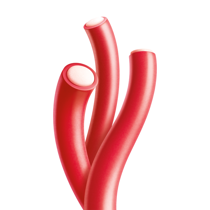 cherry berry ropes – JOYRIDE