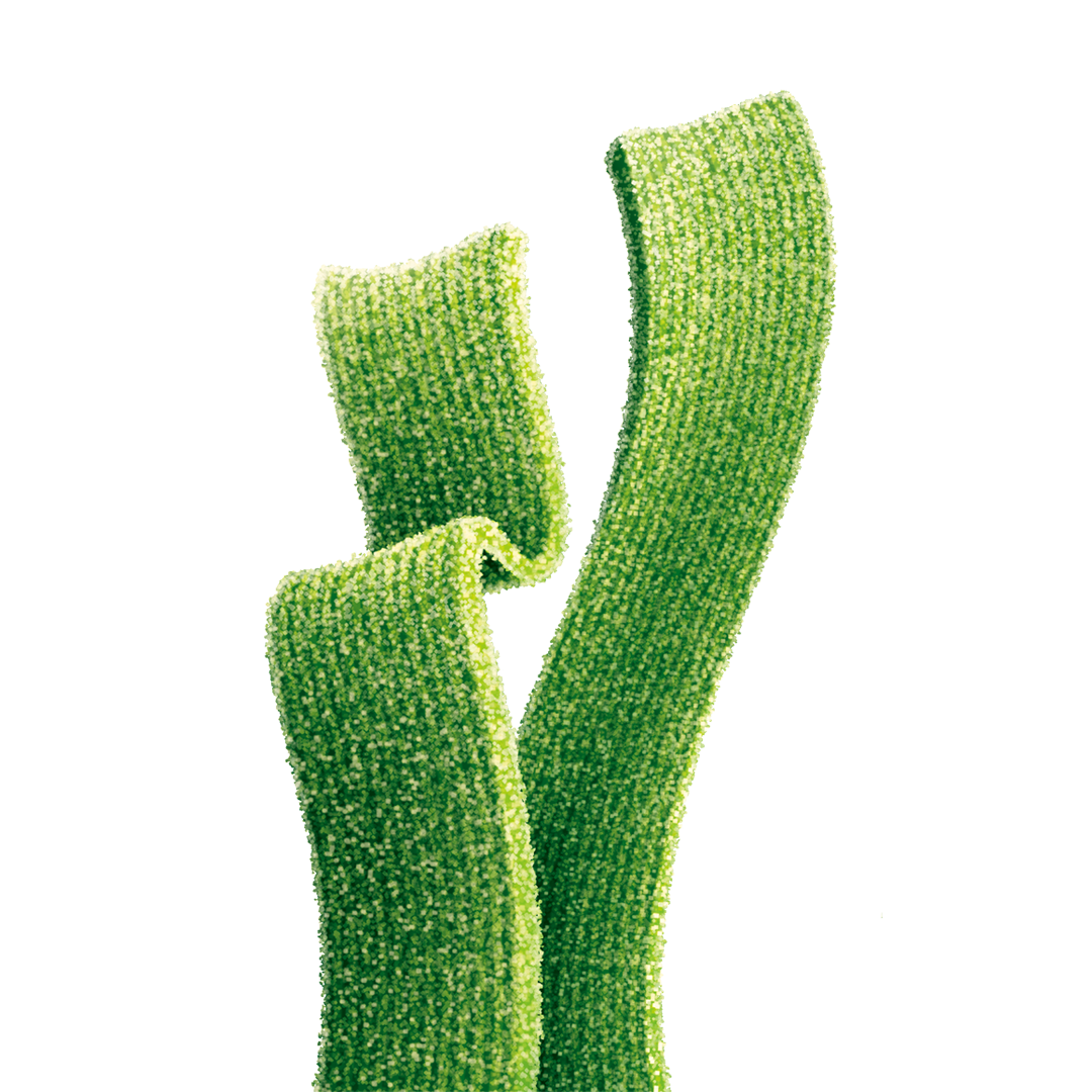 sour green apple strips