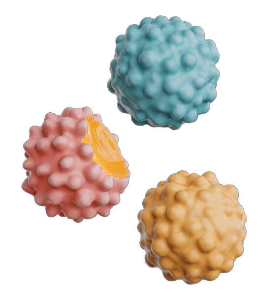 gummy busters